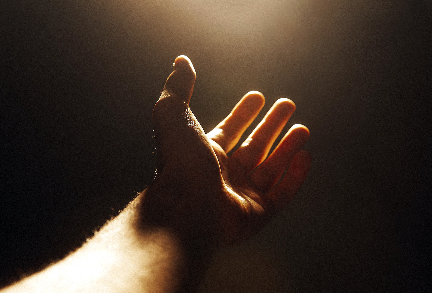 En hand sträcks mot ljuset.